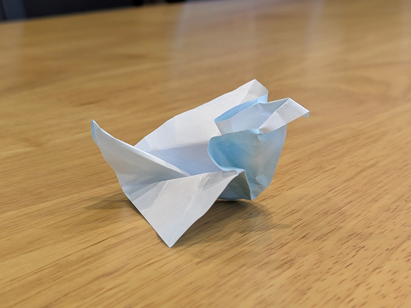 作者いわく猛禽類