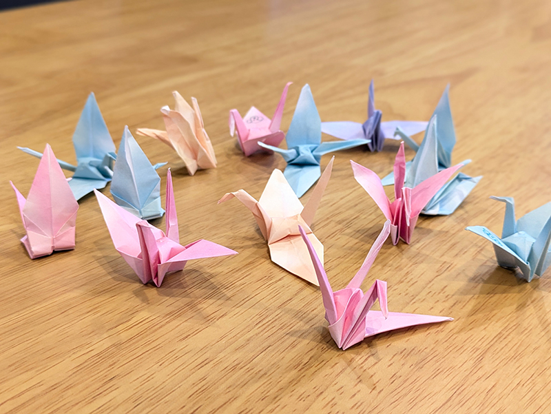 数々の折鶴 お客様の作品