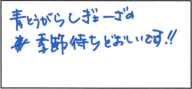 青唐辛子餃子 待ち遠しい