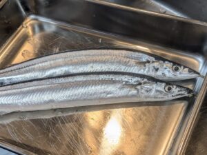 近隣のお客様からいただいた、立派な秋刀魚。閉店後に塩焼きでまかないとしていただきました。